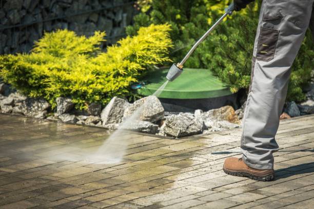 Best Soft Washing  in North Bay Village, FL