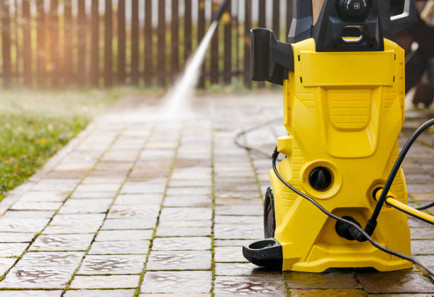 Animal Enclosure Cleaning in North Bay Village, FL